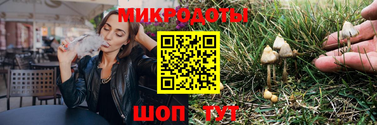 Псилоцибиновые грибы Psilocybe Ивантеевка
